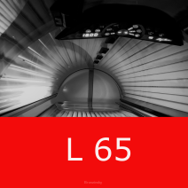 L 65